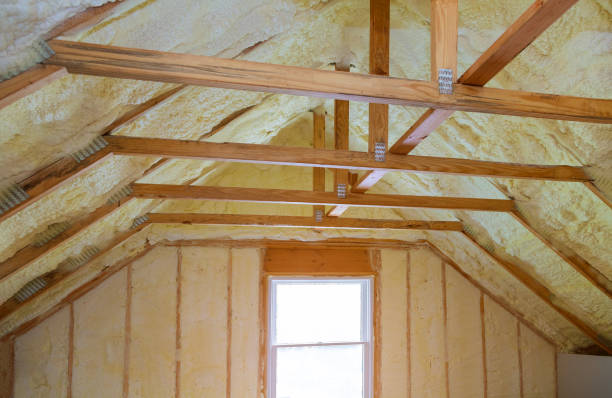 Best Blown-in Insulation in Stanton, TX