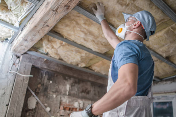 Types of Insulation We Offer in Stanton, TX