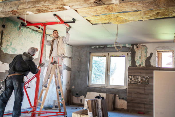 Best Eco-Friendly Insulation in Stanton, TX