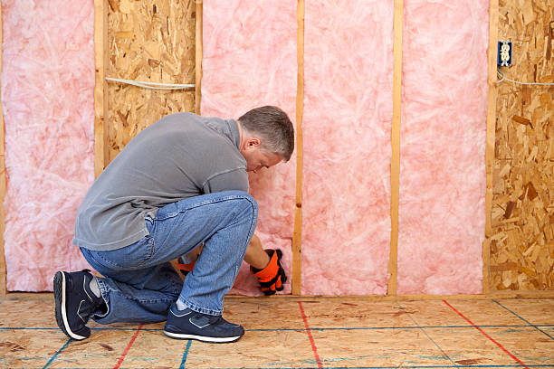 Best Cellulose Insulation in Stanton, TX