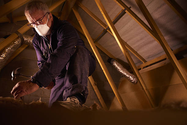 Best Insulation Maintenance and Repair in Stanton, TX